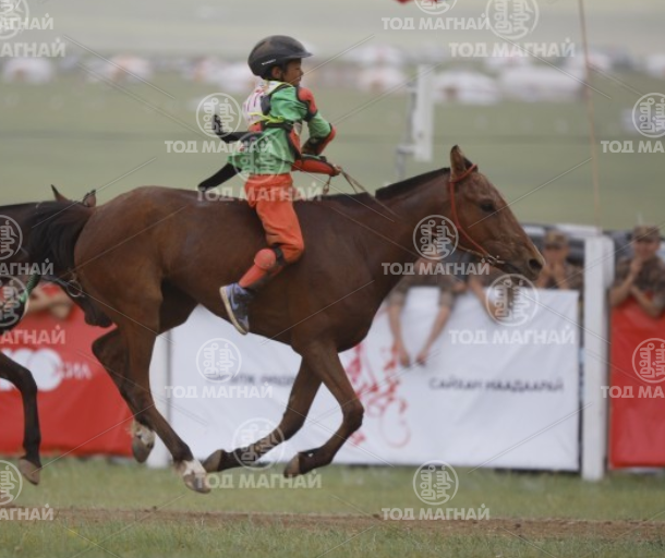  Хээр халзан