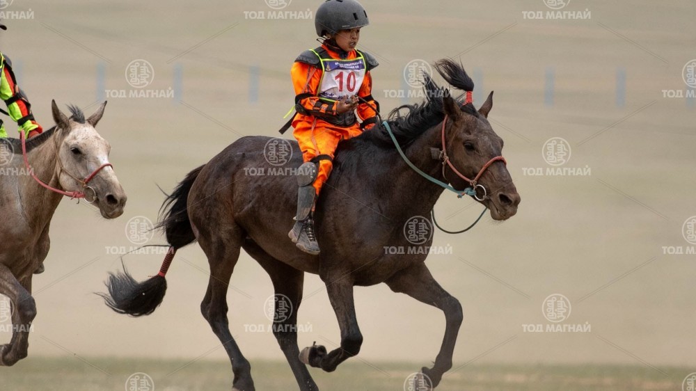 Магнай халтар