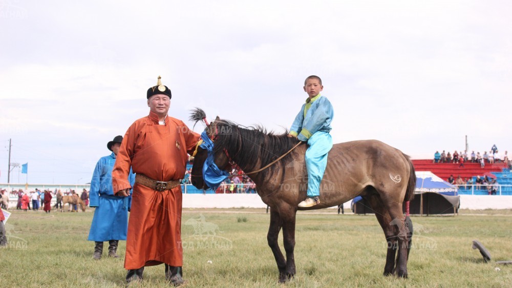  Эрэмгий саарал