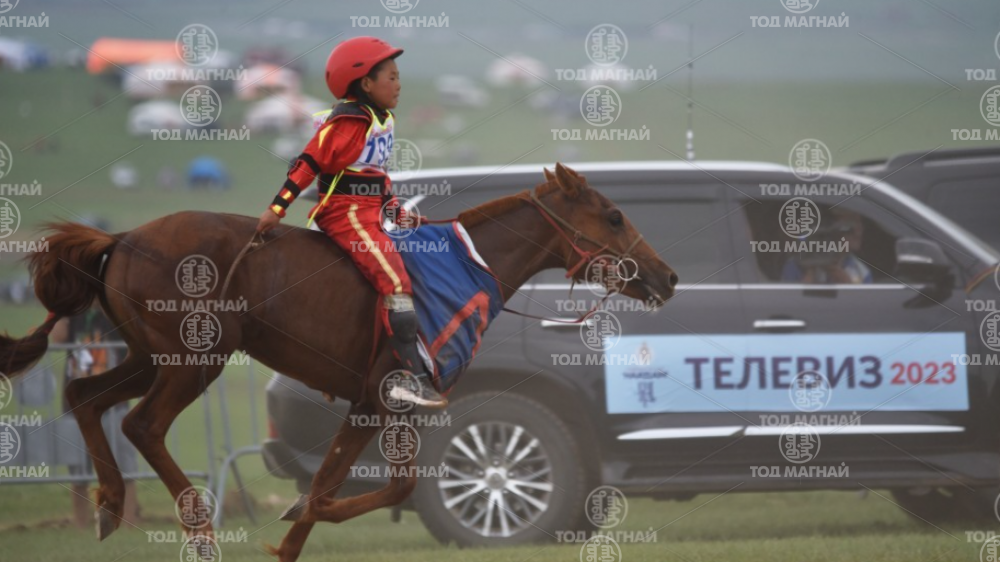  Сартай хүрэн