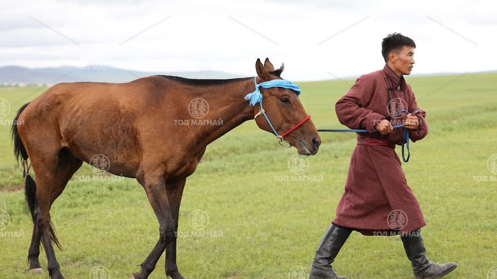  Хараацай хээр