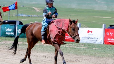 Эрлийз дээд