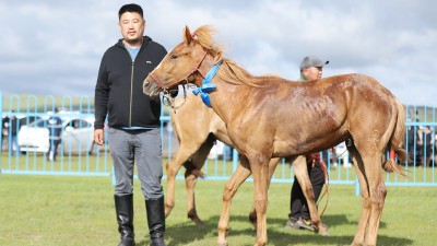 Эрлийз доод