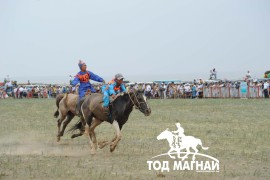 Өмнийн говийн түүхт 80 жилийн ойд түрүүлж, айрагдсан хурдан их насны морьд