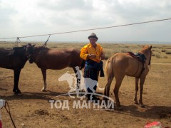 Аймгийн Алдарт уяач Б.Ганзориг: Эр хүнд уяаны багш хэмээн дээдэлдэг морь байдаг юм