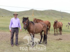 Орхон аймгийн уяач Ц.Ойдов: Би морин дээр танилцсан найз нөхдөө ч хурдан тууртын буян гэж ойлгодог