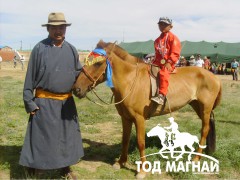 Төрийн наадмын түрүү Элбэг хээрийн төл Н.Батболдын Энержи хонгор