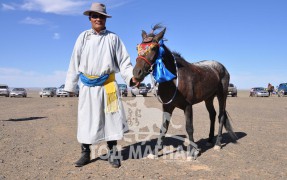 Өмнөговь аймгийн Ханбогд сумын уугуул Нэргүйн Амарбаясгалангийн хээр бүүдэн. Говь шанхугшилтай. Сумын наадмын нэг түрүү хоёр айргийн эзэн.
