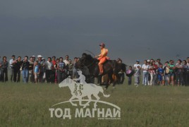 Аман хүзүүнд Төв аймгийн Баян сумын уугуул аймгийн Алдарт уяач Ж.Довдонбалжирын саарал