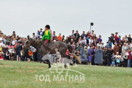 Өвөрхангай аймгийн Хужирт сумын уугуул МУ-ын хөдөлмөрийн баатар, гавьяат тамирчин Д.Дагвадоржийн бор 