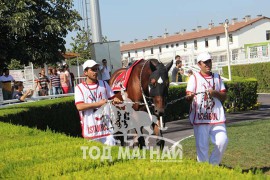 АЗИЙН МОРИНЫ УРАЛДААНЫ 34 ДҮГЭЭР ЧУУЛГАН