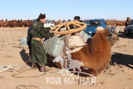 Хил дамнан цуурайтсан хоёр түмэн тэмээний баяраас...