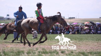 2. Төв аймгийн Дэлгэрхаан сумын уугуул Ш.Мөнгөншагайн буурал