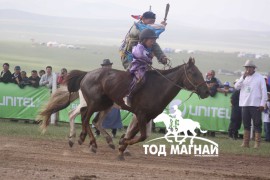 1. Говь-Алтай аймгийн Шарга сумын уугуул Монгол улсын Манлай уяач Х.Бат-Эрдэнийн хүрэн