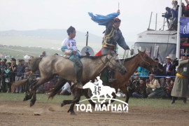 5. Төв аймгийн Баянцогт сумын уугуул С.Ганхуягийн бор