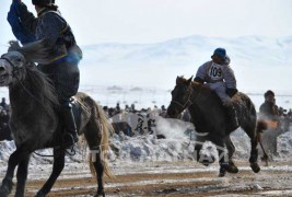 7. Ховд аймгийн Чандмань сумын уугуул Ерөөлтийн сартай зээрд 