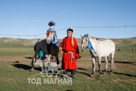 Морь уяад нэгдлийн даргадаа загнуулж явлаа