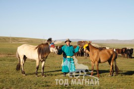 Морь уяад нэгдлийн даргадаа загнуулж явлаа