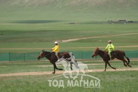 2008 онд соёолондоо улсын наадамд аман хүзүүнд хурдалж буй нь