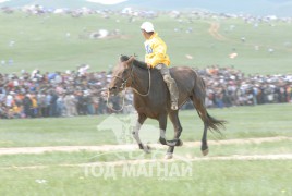 2008 онд соёолондоо улсын наадамд аман хүзүүнд хурдалж буй нь
