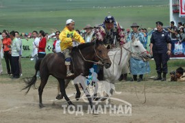 2008 онд соёолондоо улсын наадамд аман хүзүүнд хурдалж буй нь