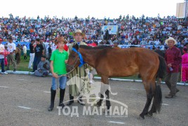 2008 онд соёолондоо улсын наадамд аман хүзүүнд хурдлаад буй нь