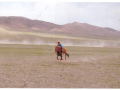 Аймгийн Алдарт уяач Т.Даваасүрэн:“Аавын чинь морь л ингэж хол тасархай түрүүлдэг байсан даа” гэсэн үг их урам хайрласан