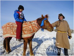 Аман хүзүүнд хурдалсан Төв аймгийн Буян-Өнжүүл сумын Ж.Батжаргалын ухаа азарга