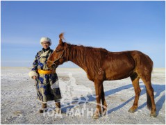 Айргийн гуравт хурдалсан Говь-Сүмбэр аймгийн Шивээ-Говь сумын Адъяасүрэнгийнзээрд халзан азарга