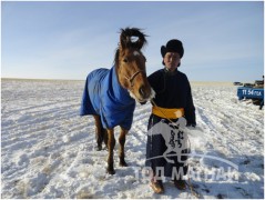 Айргийн тавт хурдалсан Төв аймгийн Баянжаргалан сумын Г.Ариунболдын хул азарга