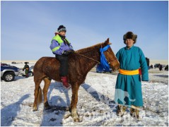 Аман хүзүүнд хурдалсан Төв аймгийн Баянжаргалан сумын Г.Шагдарын зээрд халзан морь