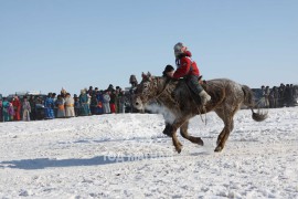 Сүхбаатарын аварга хүлэг шалгаруулах уралдааны их нас