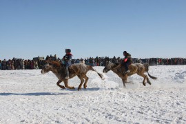 Сүхбаатарын аварга хүлэг шалгаруулах уралдааны их нас