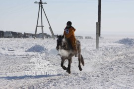 Сүхбаатарын аварга хүлэг шалгаруулах уралдааны их нас