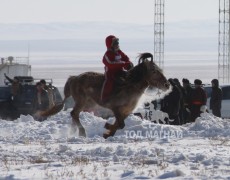 Сүхбаатар аймгийн аварга хүлэг шалгаруулах уралдаан азарга