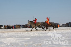 Сүхбаатар аймгийн аварга хүлэг шалгаруулах уралдаанд түрүүлж айрагдсан хурдан соёолонгууд