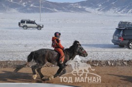 Айргийн тав – Хөвсгөл аймгийн Тосонцэнгэл сумын уяач Ч.Дашнямын Хар алаг Азарга