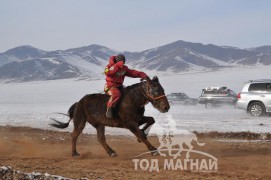 Айргийн гурав – Хөвсгөл аймгийн Мөрөн сумын уяач Т.Болдбаатарын Хээр морь