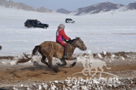 Айргийн тав – Хөвсгөл аймгийн Тариалан сумын уяач Д.Түвшинжаргалын Халиун соёолон 