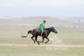 Айргийн гуравт хурдалсан МУ-ын Манлай уяач Б.Мөнхтөрийн бор 