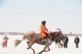 айргийн тавт хурдалсан Сэлэнгэ аймгийн Жавхлант сумын уугуул Ш.Баярбатын хүрэн азарга