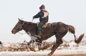 Айргийн тавт хурдалсан Дорнод аймгийн Матад сумын уугуул Мөнхтөрийн хээр морь