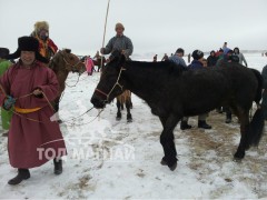 Аман хүзүүнд хурдалсан Баян-Уул сумын уугуул, аймгийн Алдарт уяач О.Мөнхбатын хос хээр морь