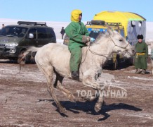 “Дүнжингарав”-ын өнгийг Цагаан хөтөлийн сунгаа тодорхойллоо