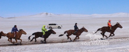 “Дүнжингарав”-ын өнгийг Цагаан хөтөлийн сунгаа тодорхойллоо