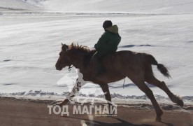 “Дүнжингарав”-ын өнгийг Цагаан хөтөлийн сунгаа тодорхойллоо