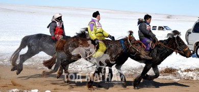 Сүхбаатар аймгийн өмнөд бүсийн уралдаанд түрүүлж айрагдсан хурдан хүлгэд