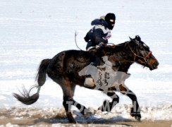айргийн гуравт хурдалсан Баруун-Урт сумын уяач Хэрлэнгийн хээр морь