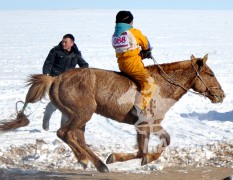 айргийн дөрөвт хурдалсан Сүхбаатар сумын харьяат Л.Лхагваагийн хонгор халзан морь