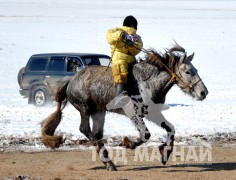 Түрүү Халзан сумын уугуул Баттулгын бор соёолон